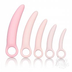  ����� �� 5 ��������������� ������� ������� Sili Dilator 5 P