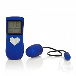  ��������� Body&Soul, 5.5 ��, �����