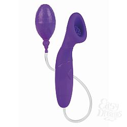  ������������ ���������� Body&Soul Scintillation, 11 �� 