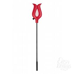 Красный тиклер с сеточкой в центре Красный тиклер с сеточкой в центре