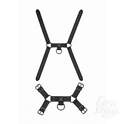   Ouch! Skulls and Bones Black SH-OU306BLK