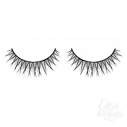  ������� ������ ��������� Premium