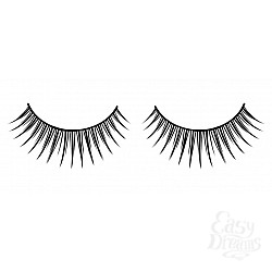  ������� ������ ��������� Premium