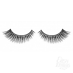  ������� ������ ��������� Premium