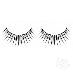  ������� ������ ��������� Premium