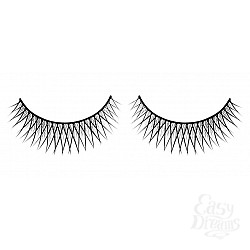  ������� ������ ��������� Premium