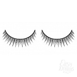  ������� ������ ��������� Premium