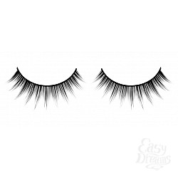  ������� ������ ��������� Premium