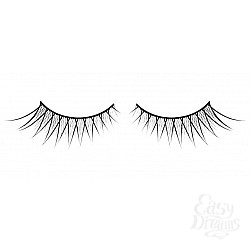  ������� ������ ��������� Premium