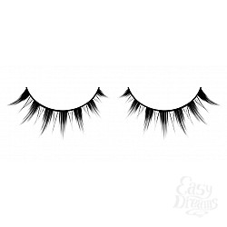  ������� ������ ��������� Premium