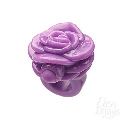  ���������� ������-������ �� ����� � ��������� GOSSIP RING