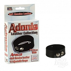   ADONIS APOLLO LEATHER COCKRING 1367-20BXSE
