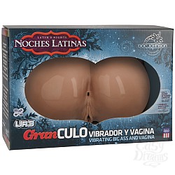  ������ � ���� � ����� Noches Latinas 5705-10BXDJ