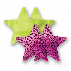  ��������:1 ���� ������-��������� ��������� ����� � 1 ���� ������� ������ � �������� ��� ��������