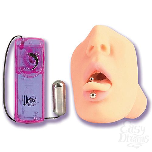 ���������� 2  �����-����������� DEVINN LANE 8111-01 BX SE