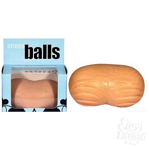 ���������� 1:  ������ ��������-����������