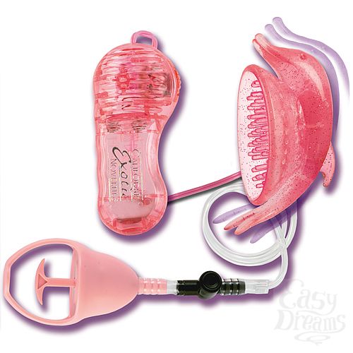 ���������� 2  ���������� ������� � �������� 8936-04 BX SE