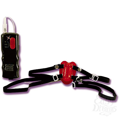  2    KIRSTEN PRICE 8937-11 BX SE