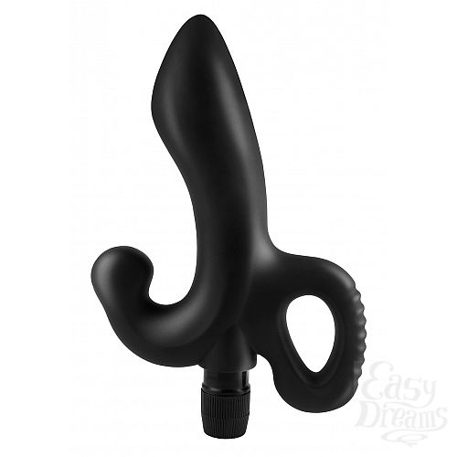 ���������� 1:  ���������� �������� � ��������� AFC-VIBRATING PROSTATE MASSAGER 463423PD