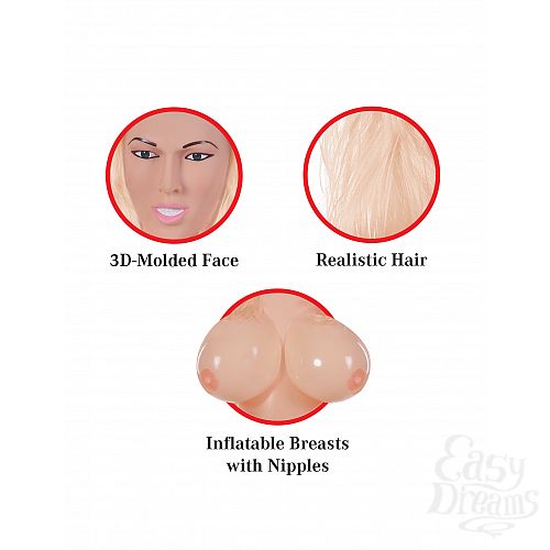  3   MISS DEMEANOR RD330