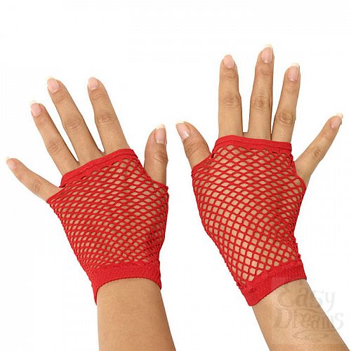 ���������� 1:  ������� � ������ ����� �������