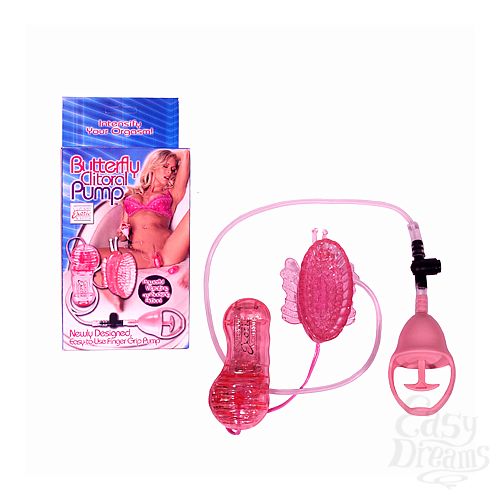 ���������� 1:  ������������ ����� 