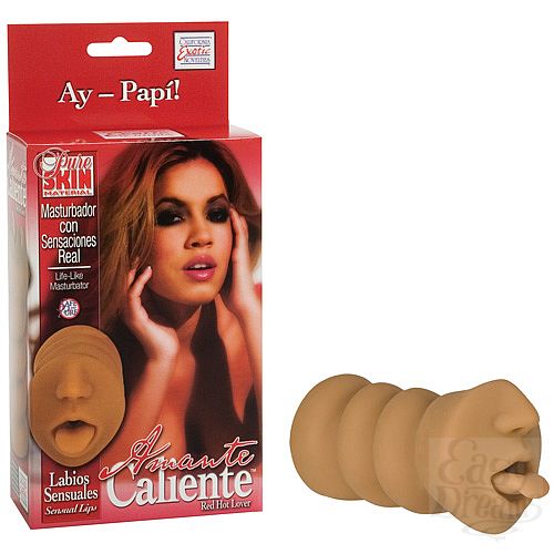 ���������� 1:  ����� � ������� AMANTE CALIENTE ������ 0958-40 BX SE