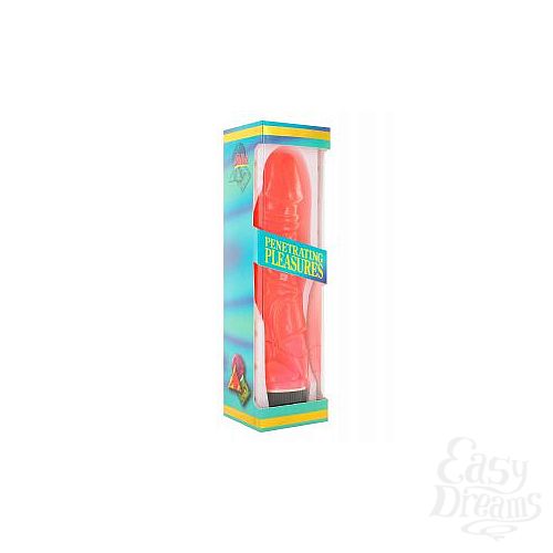 2     JELLY - 22,5 .