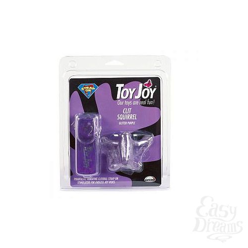  2       CLIT SQUIRREL 