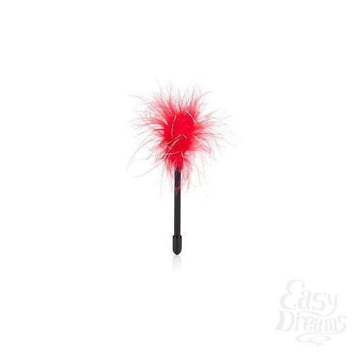 ���������� 2  ����������� ����� Amour Tempt Tease