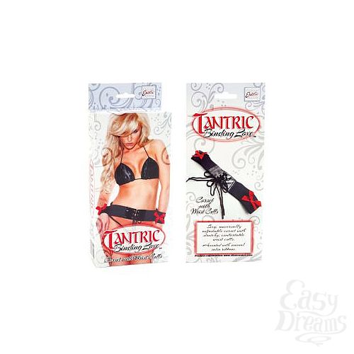  3   Tantric Binding Love Corset with Wrist Cuffs