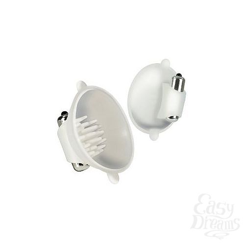 ���������� 1:  ����� �� ���� ����������� ������������ ��� ������ � ���������