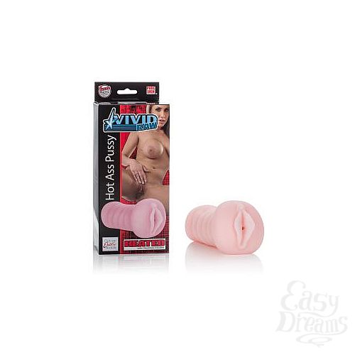  1:  - VIVID RAW HOT ASS PUSSY 