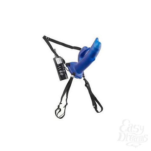 ���������� 5  ������� ����� ������� � ��������� � ������������ ������������