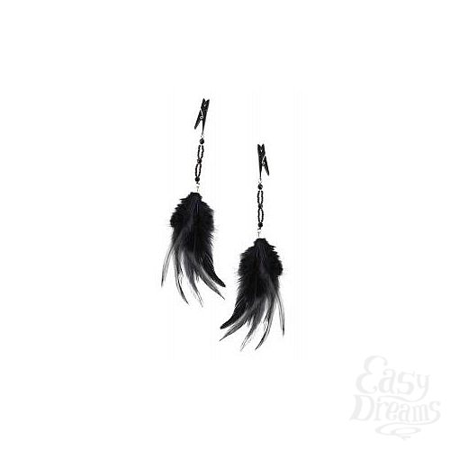 ���������� 1:  ��������� �� ����� � �������� FANCY FEATHER CLAMPS