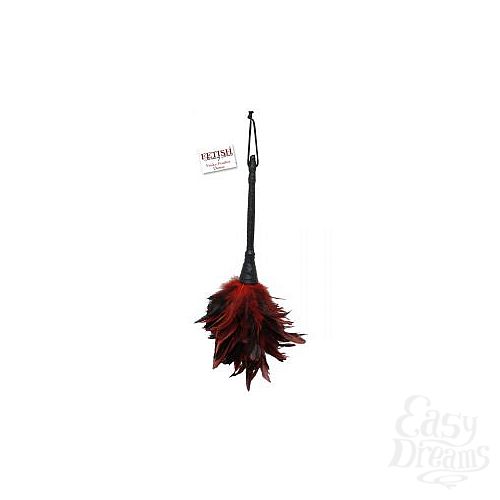  1:    -  FRISKY FEATHER DUSTER 
