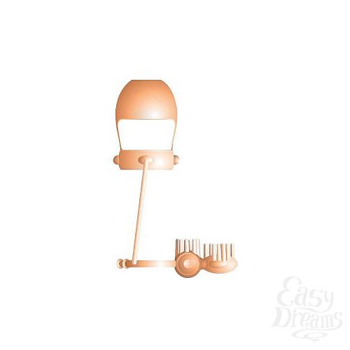 ���������� 1:  ���������� ������� ������� � ������������ �������������