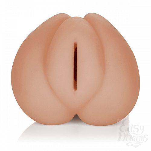  3  - VIVID RAW COCK TEASE 
