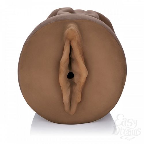  3   - VIVID RAW FUCK BUDDY 