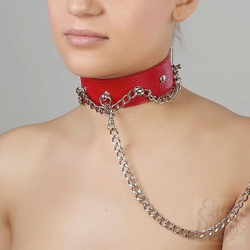 ���������� 1:  ������� ������� �� ����������� ����