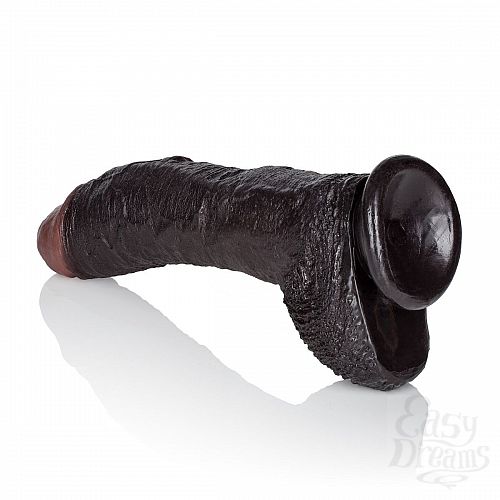 ���������� 5  ������������ ������ SEAN MICHAELS - 19 ��.