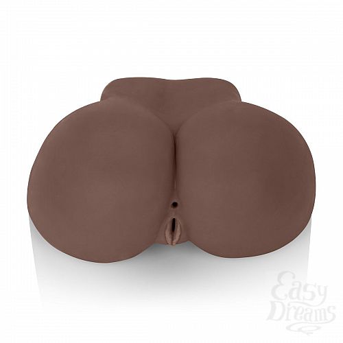  3      Vivid Raw Baby Got Back   