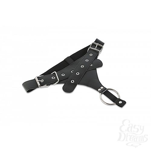 ���������� 2  ������� ��� ��������