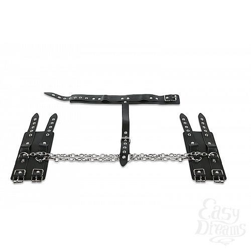 ���������� 4  ����� ��� ������� � ������