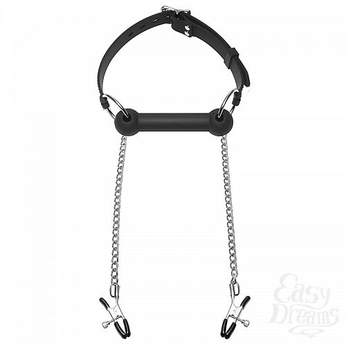 ���������� 2  ����������� �������� � �������� �� ����� EQUINE