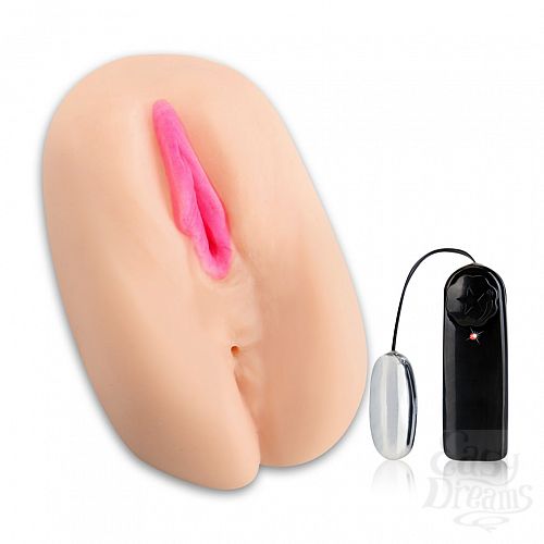  2  - HUSTLER TERA PATRICK