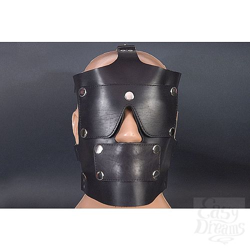 ���������� 1:  ׸���� ������� �����  �������� 