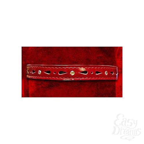 ���������� 1:  ������� ������������ ������� �� ��������