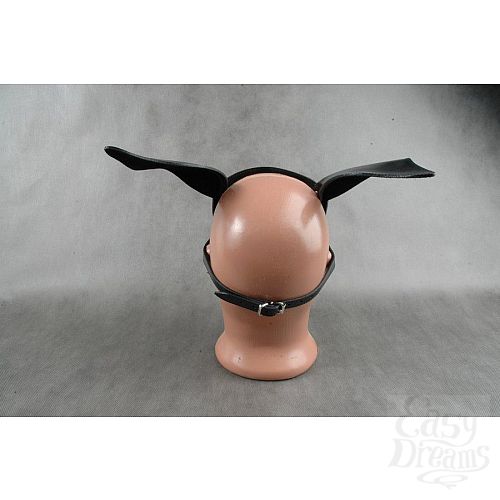 ���������� 3  ׸���� ������� ����� �� ������� ����� ����  �-������ 