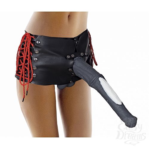 ���������� 1:  �����-���� ��� �������� ������� zoo49